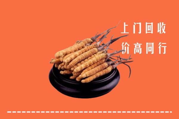 高价求购：潍坊市潍城区回收散虫草