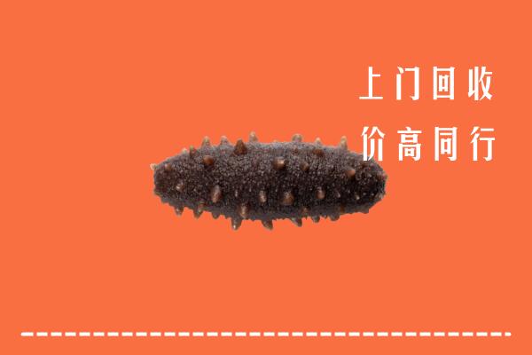 潍坊市潍城区回收海参