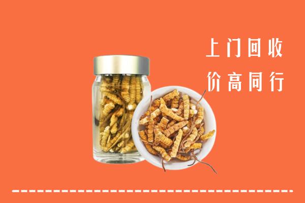 潍坊市潍城区回收冬虫夏草